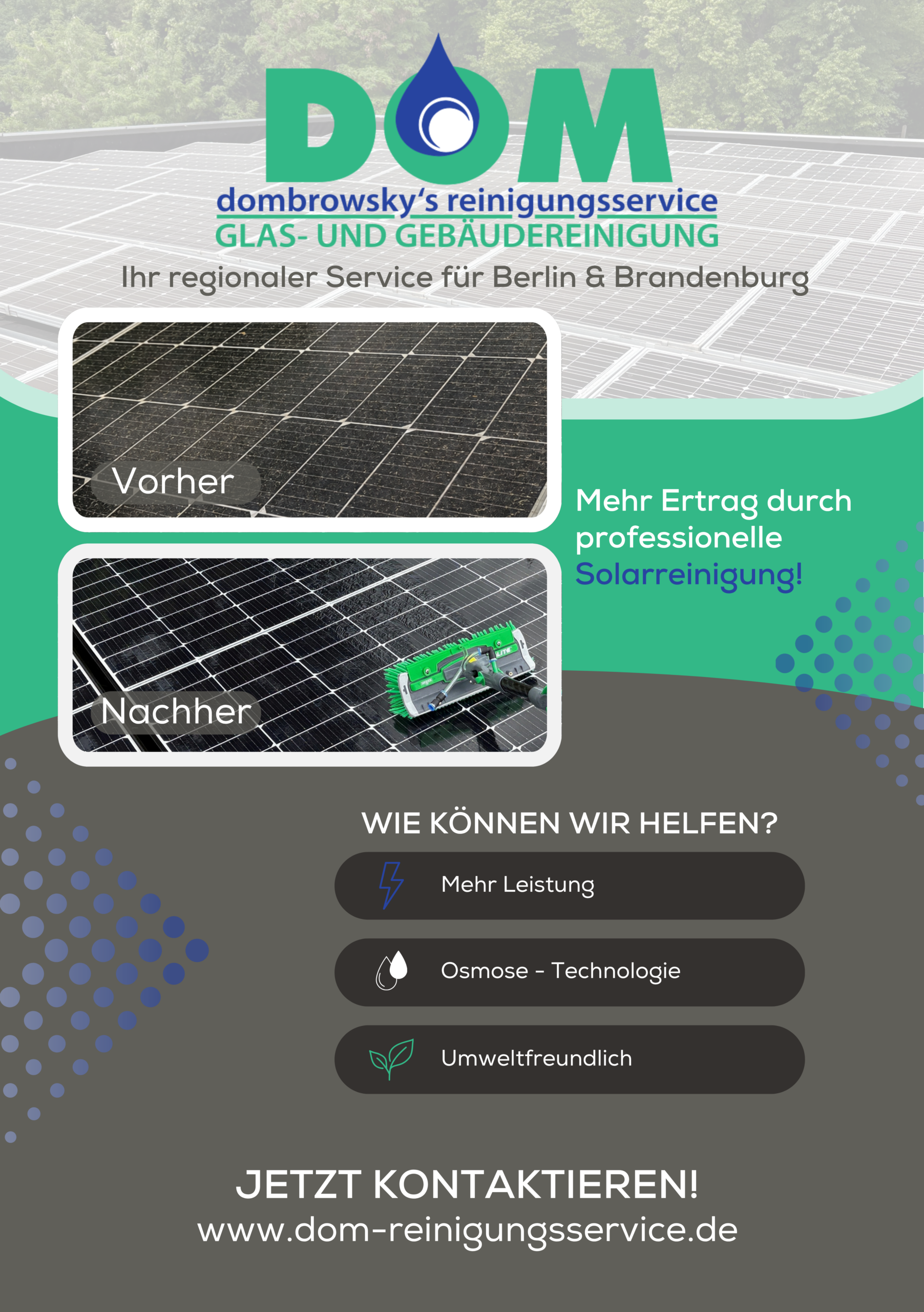 Flyer Solarreinigung Vorderseite